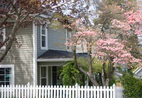 Home in Spring
